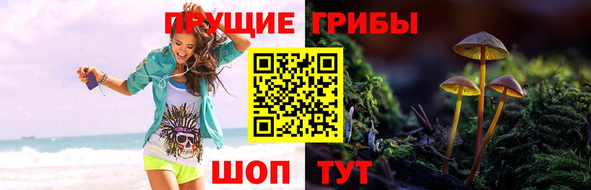 Псилоцибиновые грибы MAGIC MUSHROOMS  Вход с VPN  Нижнеудинск 